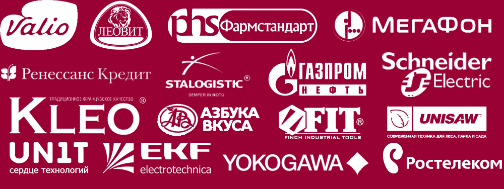 Клиенты Игоря Рызова, тренинг Построение и оптимизация отдела продаж